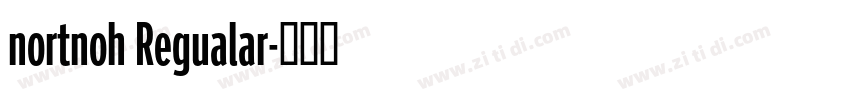 nortnoh Regualar字体转换